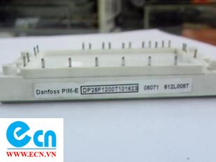DP25F1200T101623